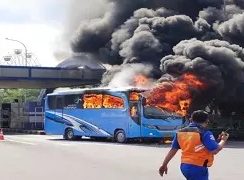 Seluruh Penumpang Bus Terbakar di Gerbang Tol Menanggal Selamat