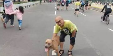 Dishub DKI Kaji Aturan Masyarakat Bawa Hewan Peliharaan di HBKB