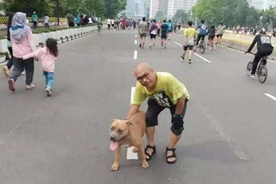 Dishub DKI Kaji Aturan Masyarakat Bawa Hewan Peliharaan di HBKB