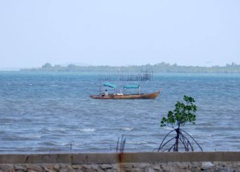 Ini Kerugian Indonesia Jika Xinyi Glass Holding Gagal Investasi di Pulau Rempang