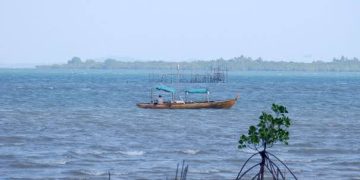Ini Kerugian Indonesia Jika Xinyi Glass Holding Gagal Investasi di Pulau Rempang