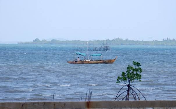 Ini Kerugian Indonesia Jika Xinyi Glass Holding Gagal Investasi di Pulau Rempang