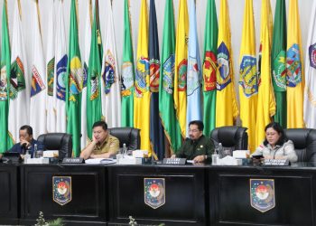Pemda Sepatutnya Miliki SOP Pengendalian Inflasi
