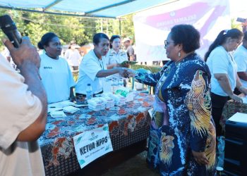 Pemerintah Klaim Pilkada Serentak di Provinsi Papua Berjalan Kondusif