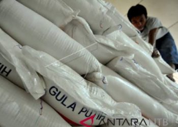 Inkopol dan Inkop Kartika Meminta agar Impor Gula demi Stabilitas Harga pada 2016