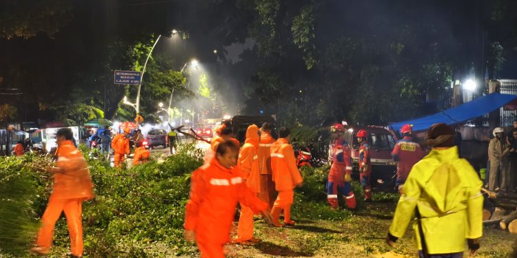 Pemda Didesak Tempuh Langkah Antisipatif Hadapi Cuaca Ekstrem