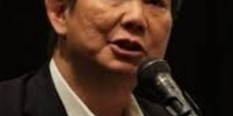 Ariseno Bantah Kabar Keterkaitan Hashim di PT Tambang Mas Sangihe
