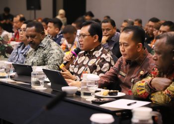 Penuntasan Kawasan Pusat Pemerintahan di Empat DOB Papua Didorong Masuk RPJMN
