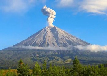 Gunung Semeru Erupsi dengan Letusan hingga 1,2 KM di Atas Puncak, Warga Diimbau Waspada