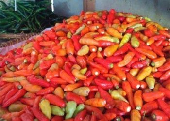 Bapanas Sebut Harga Cabai Rawit dan Bawang Merah Mengalami Penurunan
