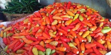 Bapanas Sebut Harga Cabai Rawit dan Bawang Merah Mengalami Penurunan