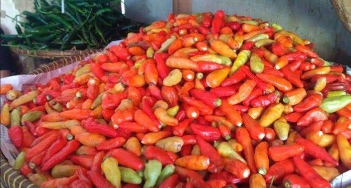 Bapanas Sebut Harga Cabai Rawit dan Bawang Merah Mengalami Penurunan