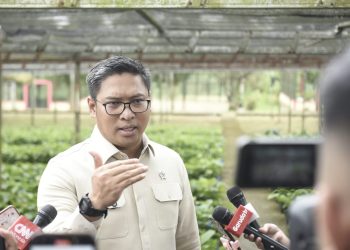 Kementan Janji Sikat Habis Praktik Pupuk Palsu