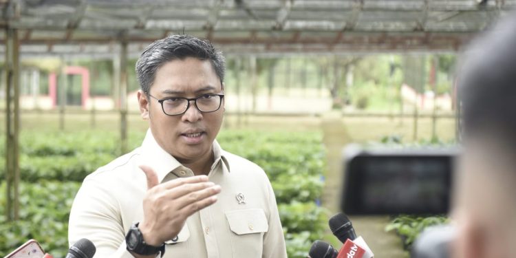 Kementan Janji Sikat Habis Praktik Pupuk Palsu