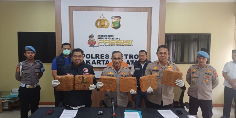 Pemuda Pengangguran Dibekuk Polres Jaksel Buntut Edarkan Ganja 13,37 Kilogram