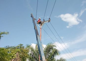Krisis Listrik di Perbatasan Tuai Sorotan, Gulam Sharon: PLN Perlu Libatkan Swasta