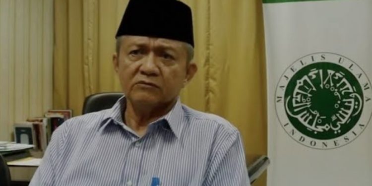 Buya Anwar Abbas: Lihatlah Penyelenggaraan Haji 2024 Secara Komprehensif