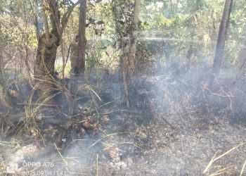 Banjir, Longsor, dan Karhutla Menerpa Sejumlah Daerah, Ini Dampak Kerusakan yang Ditimbulkan