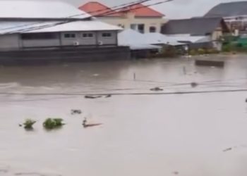 Banjir Terjang Sejumlah Wilayah Bali: Warga Terpaksa Mengungsi hingga Renggut Korban Jiwa