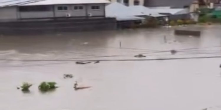 Banjir Terjang Sejumlah Wilayah Bali: Warga Terpaksa Mengungsi hingga Renggut Korban Jiwa