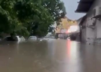 BNPB Sebut 9 Warga Tewas akibat Banjir di Bali, 2 Orang Masih Hilang