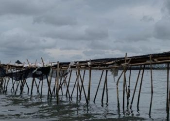 Hari Ini Sidang Kasus Pagar Laut Arsin dkk, Oknum BPN Harusnya jadi Tersangka
