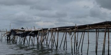Hari Ini Sidang Kasus Pagar Laut Arsin dkk, Oknum BPN Harusnya jadi Tersangka