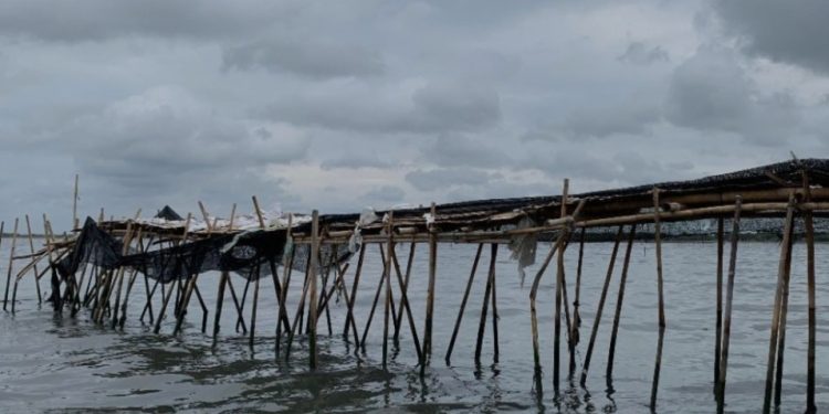 Hari Ini Sidang Kasus Pagar Laut Arsin dkk, Oknum BPN Harusnya jadi Tersangka
