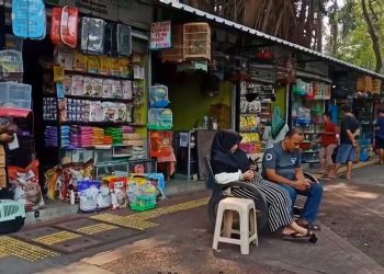 Kios Relokasi Pedagang Hewan Barito ke Sentra Fauna Siap 2 Pekan Lagi