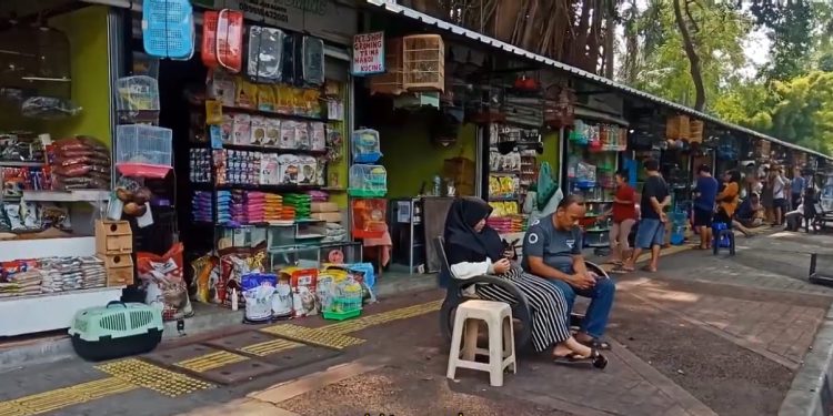 Kios Relokasi Pedagang Hewan Barito ke Sentra Fauna Siap 2 Pekan Lagi