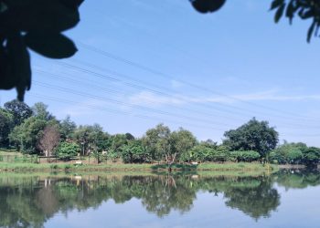 BMKG Deteksi Suhu Panas hingga 36 Derajat Celsius di Sejumlah Daerah