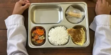 Awas Ompreng MBG Palsu, BGN: Bahan Harus Memenuhi Standar Kesehatan