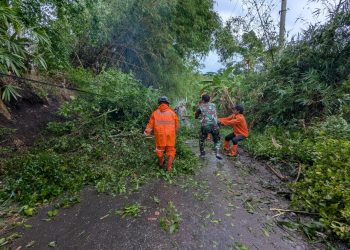 Curah Hujan Meningkat, BMKG: Waspadai Cuaca Ekstrem di Sejumlah Wilayah