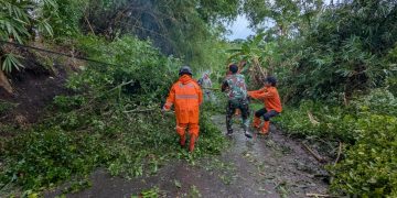 Curah Hujan Meningkat, BMKG: Waspadai Cuaca Ekstrem di Sejumlah Wilayah