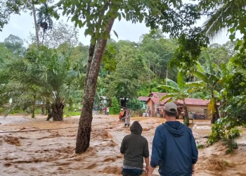 Sejumlah Kabupaten di Sumut Dilanda Bencana, BNPB Kerahkan Pesawat Evakuasi dan Operasi Modifikasi Cuaca