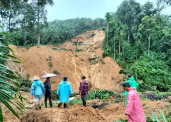 74 Jiwa Meninggal Imbas Banjir dan Longsor di Agam, 78 Orang Belum Ditemukan
