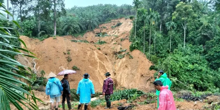 74 Jiwa Meninggal Imbas Banjir dan Longsor di Agam, 78 Orang Belum Ditemukan