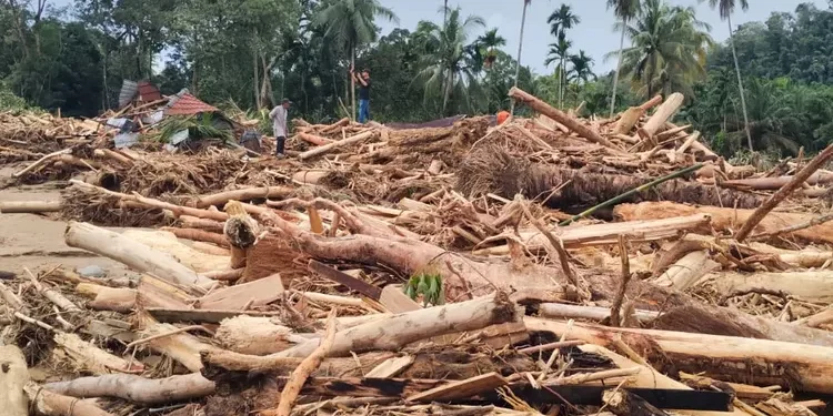 Revisi UU Kehutanan, Masukan Publik Dinilai Mendesak