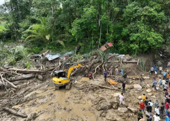 Korban Tewas Banjir dan Longsor di Sumatera Capai 442 Jiwa, Akses Jalan Banyak Terputus