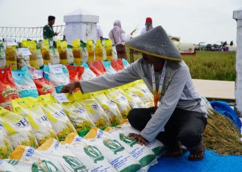 Kendalikan Inflasi, Pemda Diingatkan Jaga Stabilitas Harga Pangan Jelang Ramadan