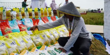 Kendalikan Inflasi, Pemda Diingatkan Jaga Stabilitas Harga Pangan Jelang Ramadan