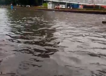 36 RT dan 27 Ruas Jalan di Jakarta Kebanjiran! Ini Sebaran Wilayah Terdampak