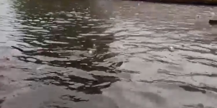 36 RT dan 27 Ruas Jalan di Jakarta Kebanjiran! Ini Sebaran Wilayah Terdampak