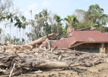 Pemerintah Percepat Pemanfaatan Kayu Hanyut untuk Rehabilitasi Pascabencana Sumatera