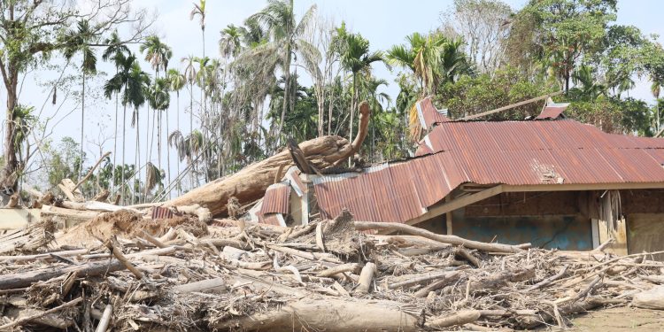 Pemerintah Percepat Pemanfaatan Kayu Hanyut untuk Rehabilitasi Pascabencana Sumatera