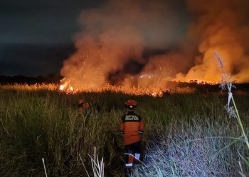 Hadapi Musim Kemarau, BNPB Siapkan Jurus Strategis Antisipasi Karhutla