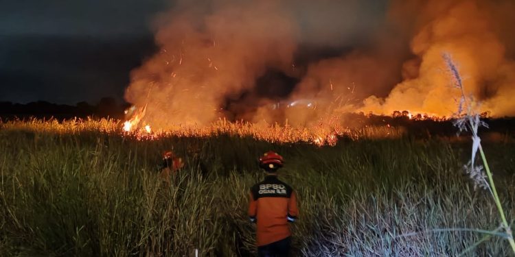 Hadapi Musim Kemarau, BNPB Siapkan Jurus Strategis Antisipasi Karhutla