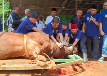 Gunakan Golok Sorenan Betawi, Wali Kota Jaksel Sembelih Sapi Kurban Presiden Prabowo