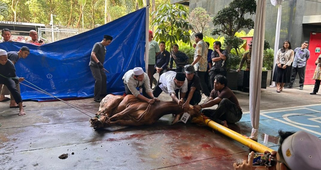 Potong 8 Ekor Sapi, KPK: Kurban Bukan Hanya Syariat, Tapi Perwujudan Kepedulian Sosial