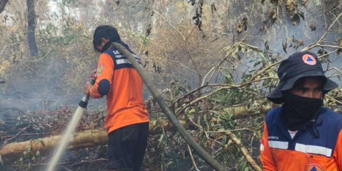 BNPB Cegah Karhutla di Kalteng Meluas, Satgas Darat dan Udara Dioptimalkan